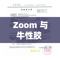 Zoom 与牛性胶 ZOOm 区别何在？深入解析两者的差异与实践场景