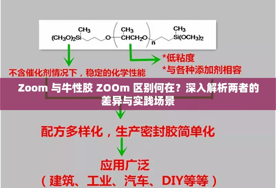 Zoom 与牛性胶 ZOOm 区别何在？深入解析两者的差异与实践场景