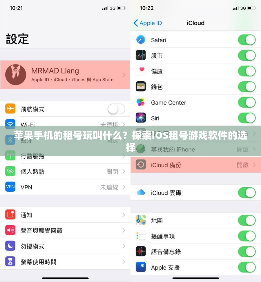 苹果手机的租号玩叫什么？探索iOS租号游戏软件的选择