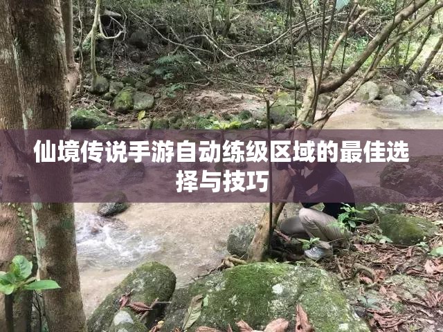 仙境传说手游自动练级区域的最佳选择与技巧